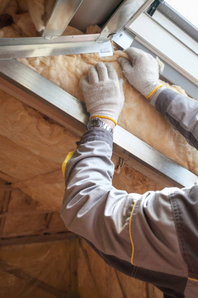 Best Insulation for Specific Applications in Apple Mountain Lake, VA