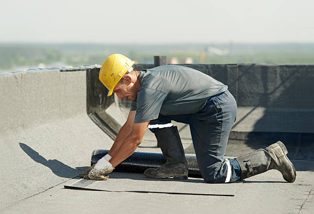 Best Specialty Insulation in Apple Mountain Lake, VA