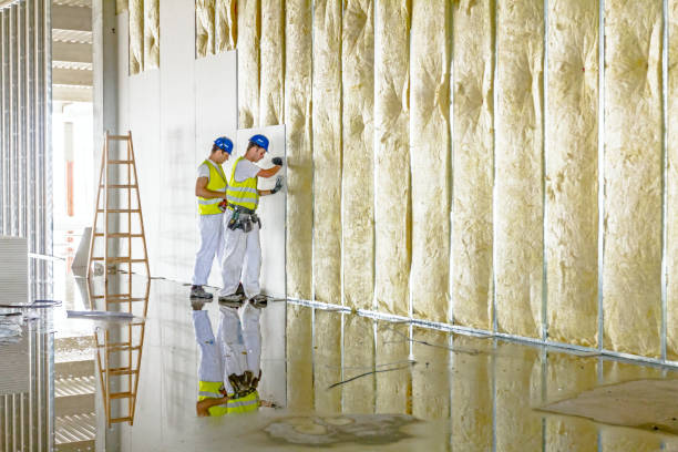 Best Types of Insulation in Apple Mountain Lake, VA